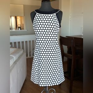 Ann Taylor Navy and White Polka Dot Dress